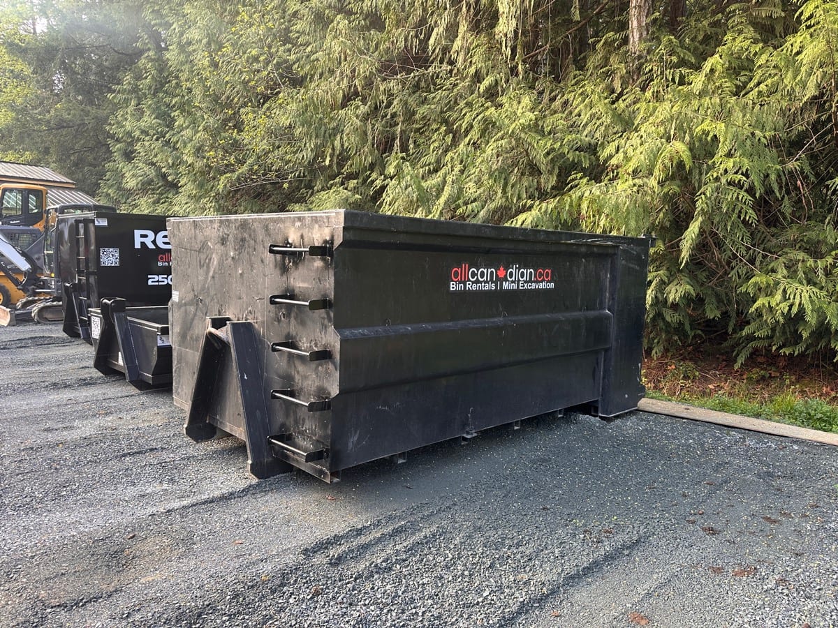 Bin rentals for spring renovations