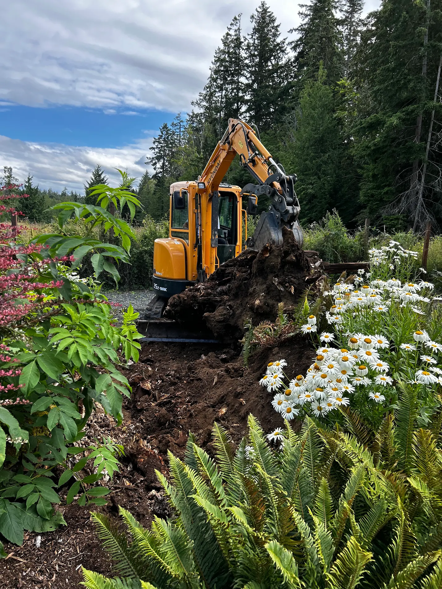 Rental bin delivered to a heritage home renovation in Qualicum Beach